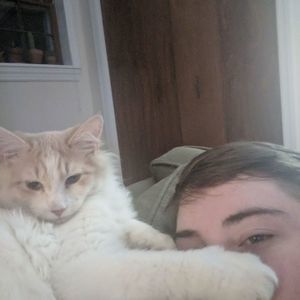 Meet your Posher, Claire